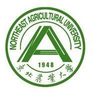 亚博电竞网