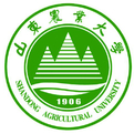 亚博电竞网